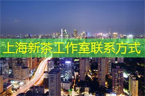 奇妙仙境！上海会所盛装派对，尽情释放你内心的狂野！